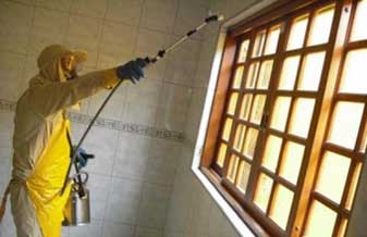 Flecha Manutenção - Foto 1