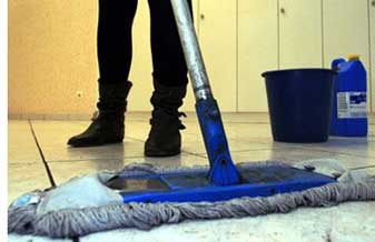 Ivacir Rocha Companhia - Foto 1