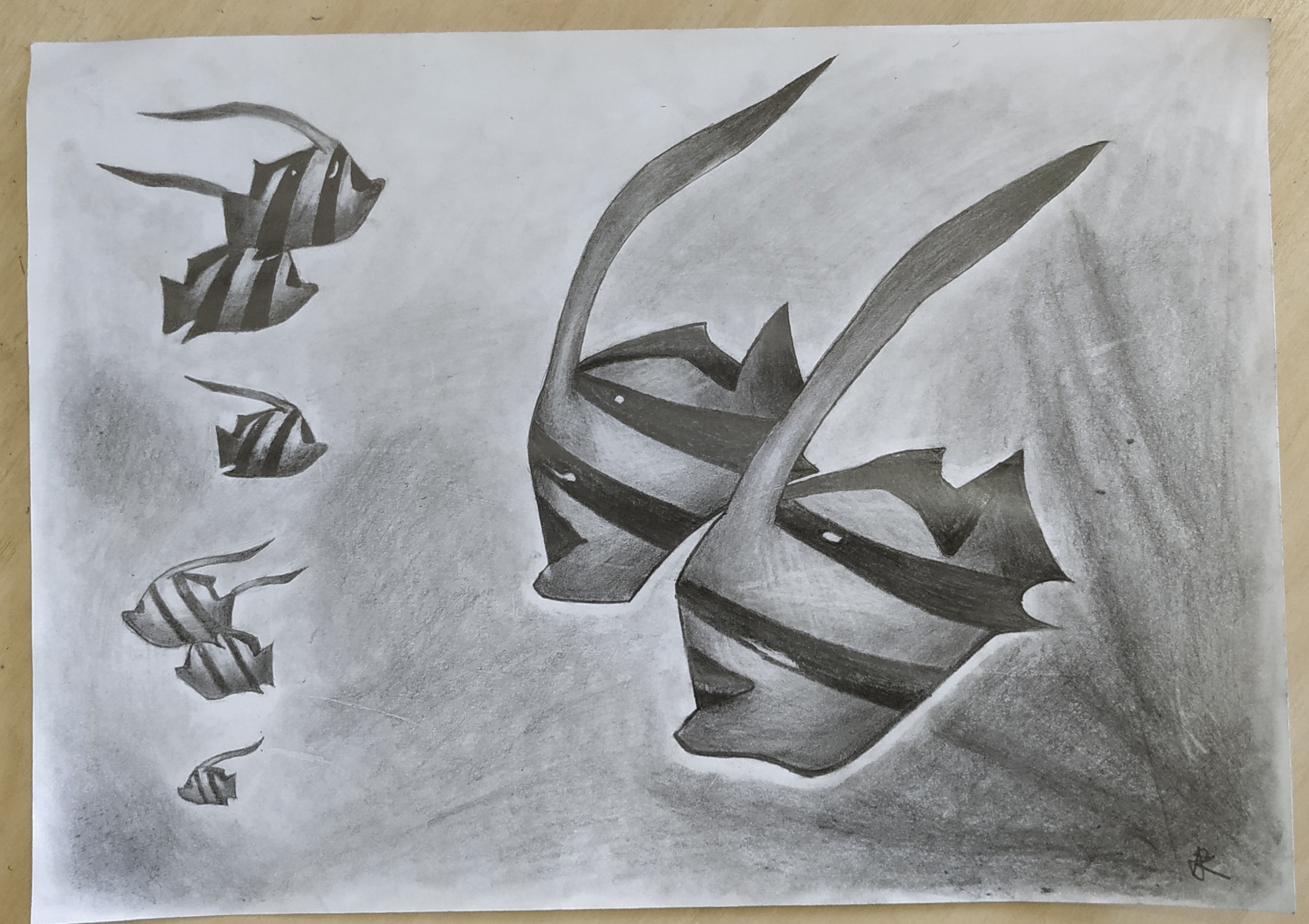 Dalta Studios - Foto 3