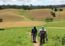 Caminhada Rural Sapucaia do Sul