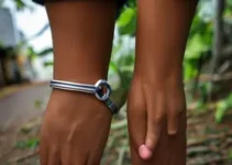 monitoramento de agressores de mulheres