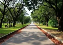 pavimentação da Estrada do Parque Zoológico