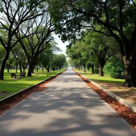 pavimentação da Estrada do Parque Zoológico