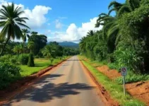 pavimentação da Estrada do Zoológico