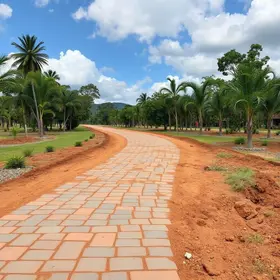 Pavimentação da Estrada do Zoológico