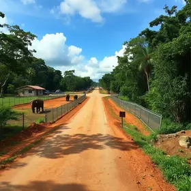pavimentação da Estrada do Zoológico