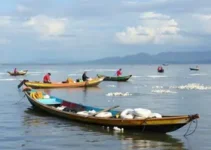 Pescadores Artesanais