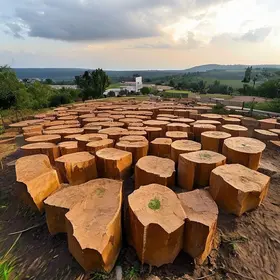 Reforma que Transforma