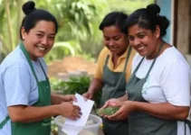 Programa de Aquisição de Alimentos