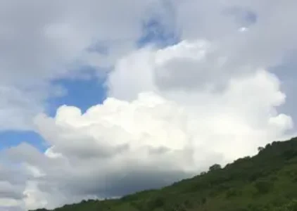 Últimas noticias de Sapucaia do Sul