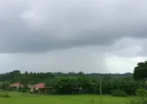 previsão do tempo em Sapucaia do Sul