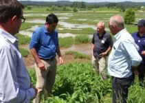 proteção contra cheias