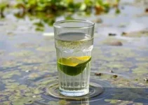 água no Vale do Sinos