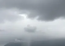 Sapucaia do Sul