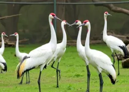 Últimas noticias de Sapucaia do Sul