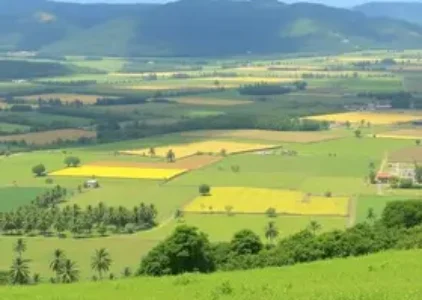 Últimas noticias de Sapucaia do Sul