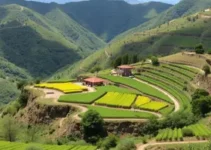 proteção ambiental