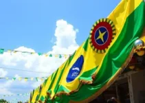 Portal Dia Dia News