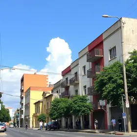 política antirracista
