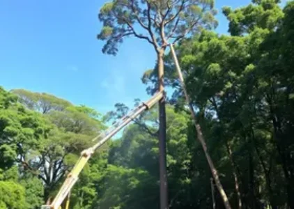 Últimas noticias de Sapucaia do Sul