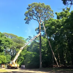 Parque Zoológico de Sapucaia do Sul