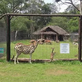 Parque Zoológico Sapucaia do Sul