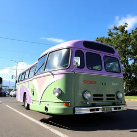 Ônibus Lilás Sapucaia do Sul