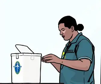 apuração ao vivo dos votos em Sapucaia do Sul